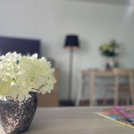 Bergfeeling Mit Oberstaufen Plus エクステリア 写真
